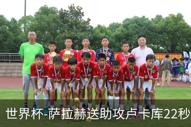 世界杯-萨拉赫送助攻卢卡库22秒造乌龙 比利时1-1埃及