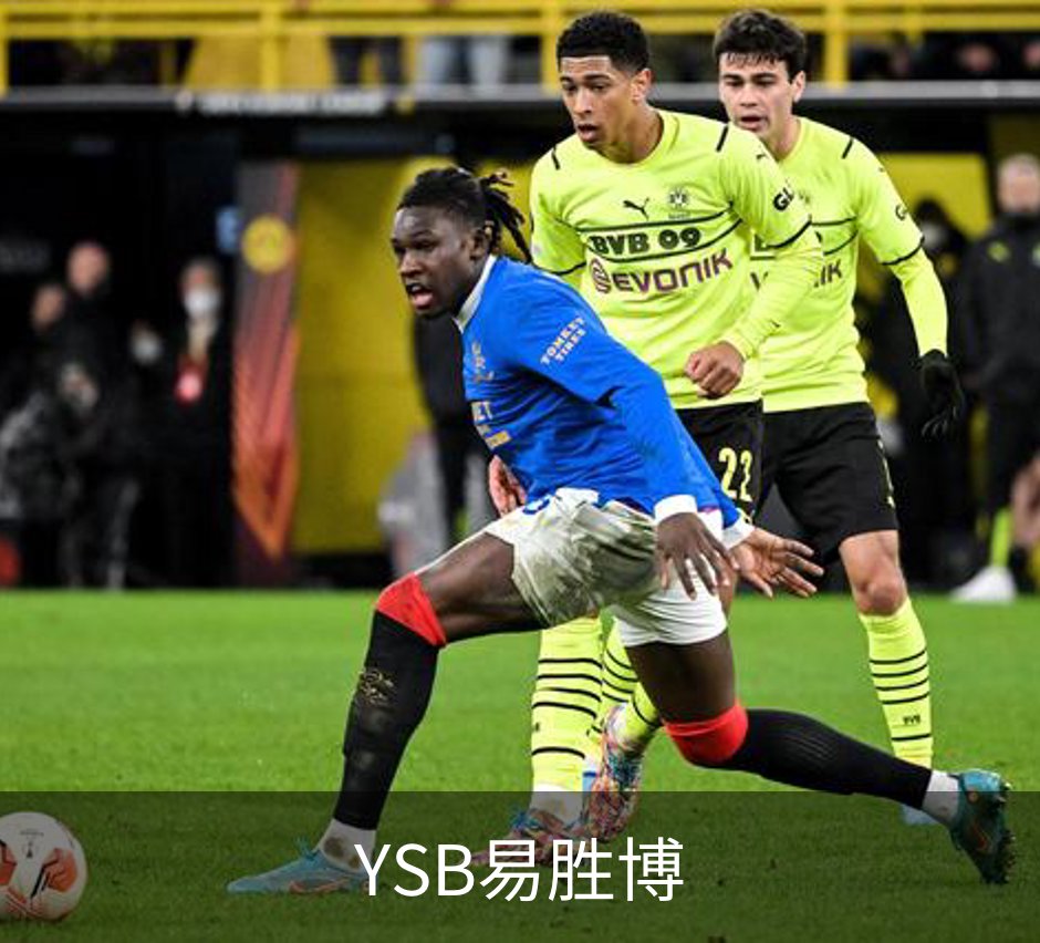 YSB易胜博介绍